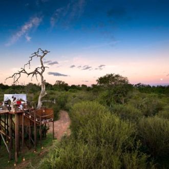 ©Lion Sands Private Game Reserve